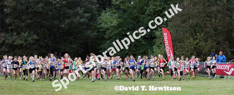 Start of under-13 girls National Cross Country Relays, Berry Hill Park, Mansfield. Photo: David T. Hewitson/Sports for All Pics
